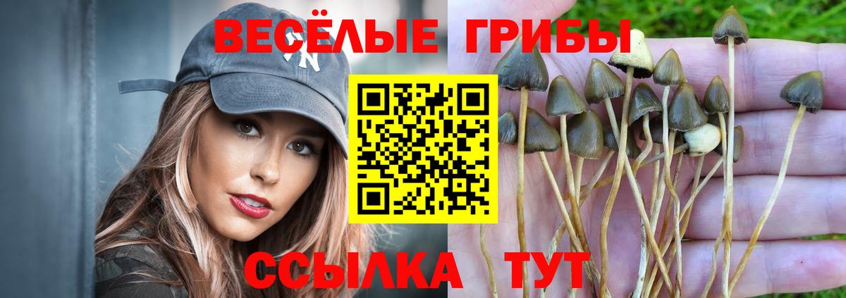 Галлюциногенные грибы ЛСД  Галлюциногенные грибы мухоморы  Тамбов  Вход с VPN 