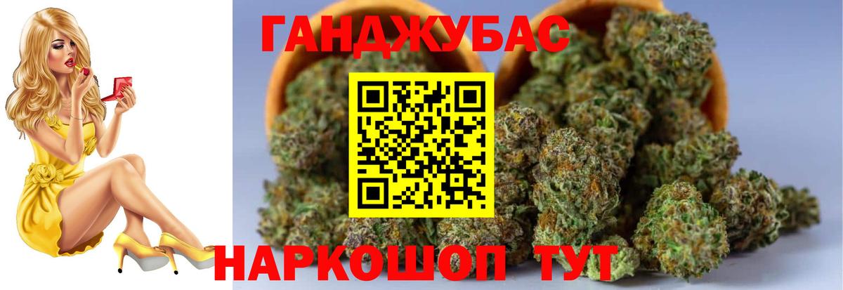 Бошки Шишки гибрид Тамбов